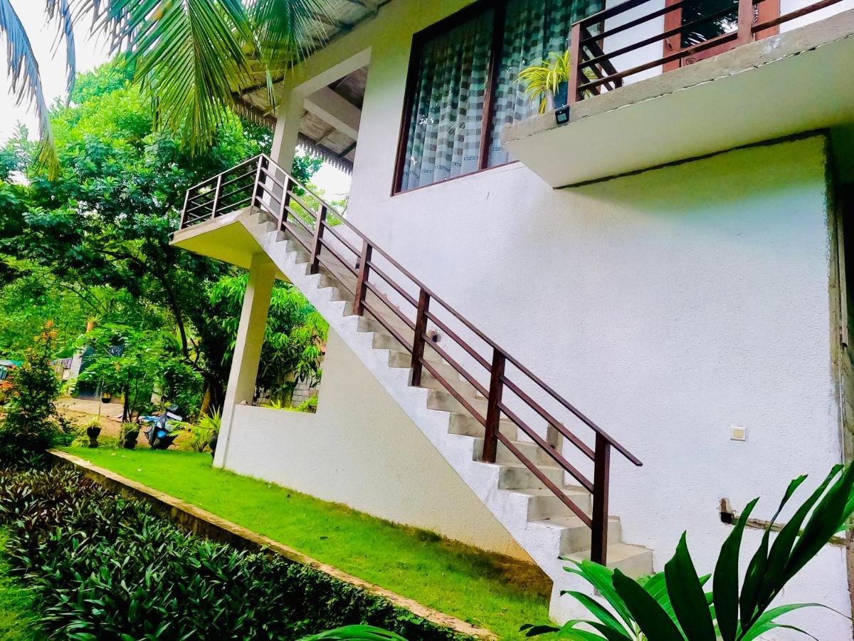 Mountain Seaview Cabanas 坦加拉 外观 照片