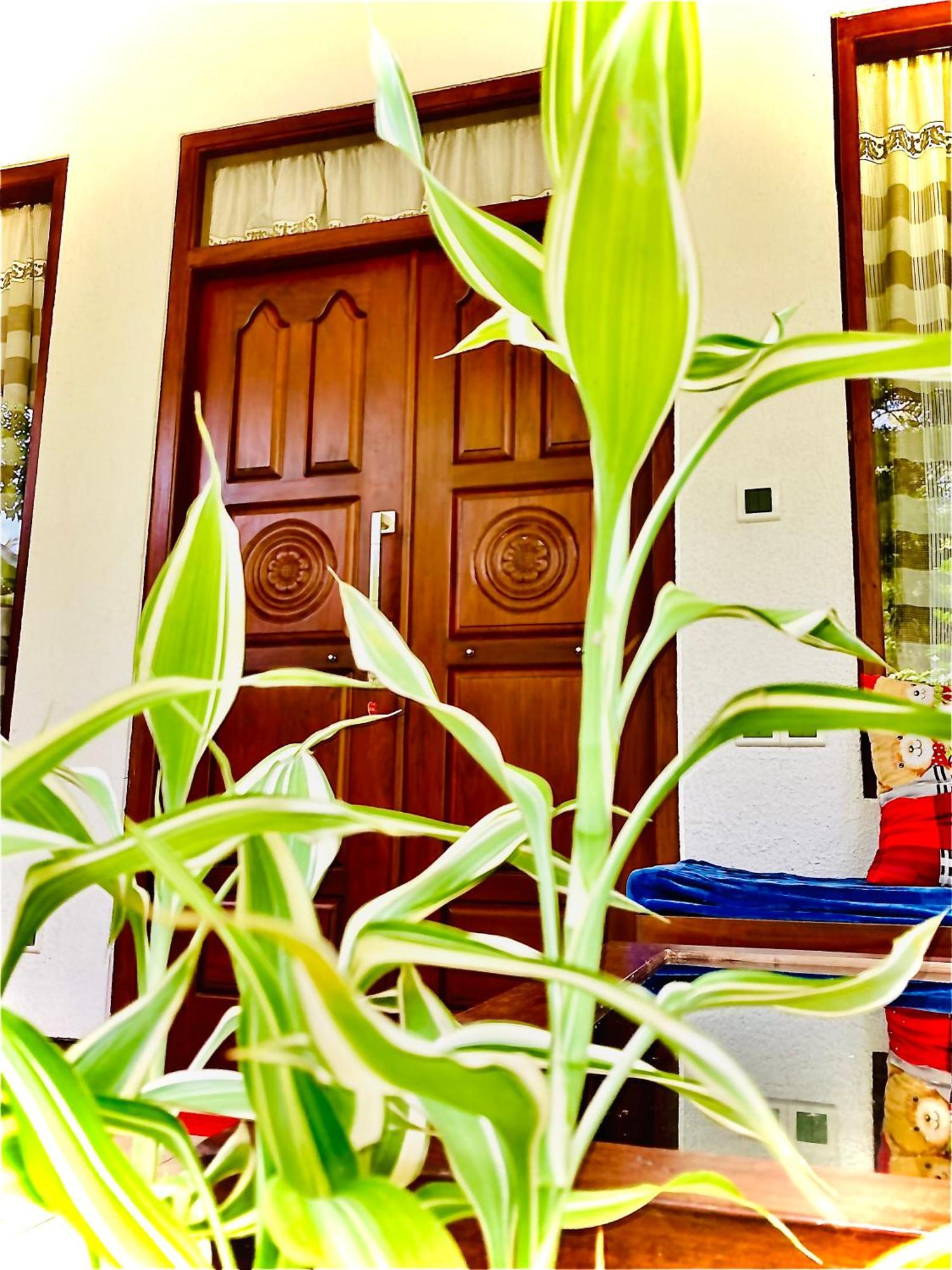 Mountain Seaview Cabanas 坦加拉 外观 照片