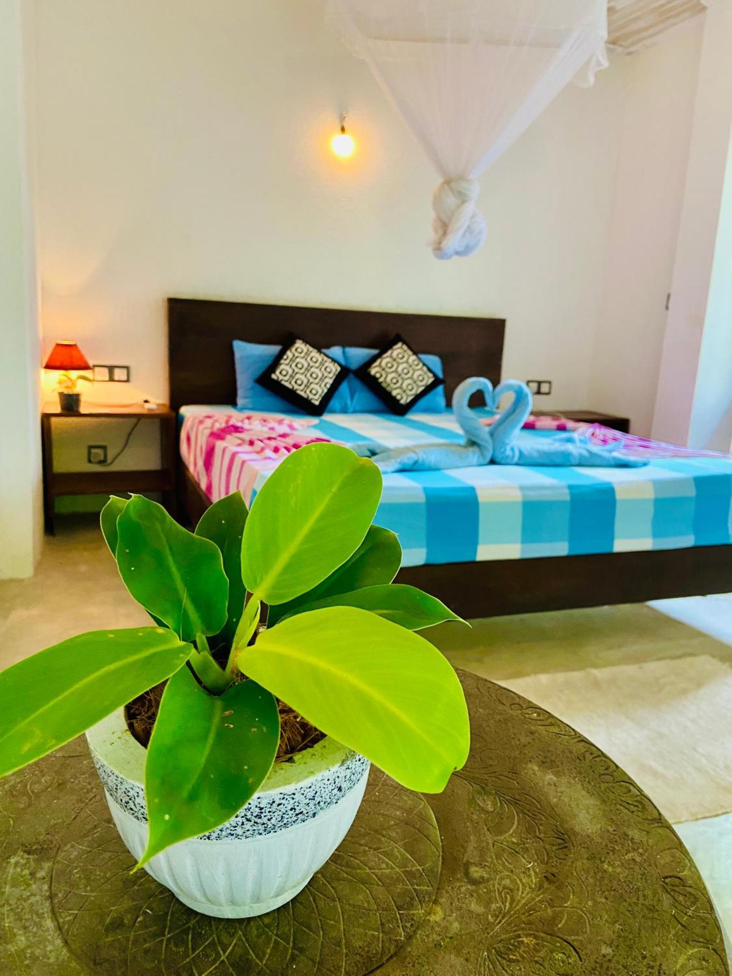 Mountain Seaview Cabanas 坦加拉 外观 照片